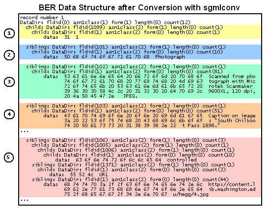 BER Data Structure after Conversion with sgmlconv