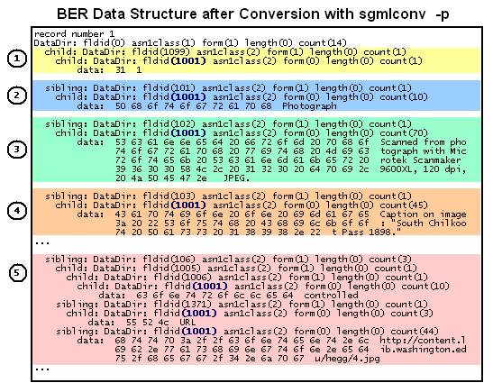 BER Data Structure after Conversion with sgmlconv -p